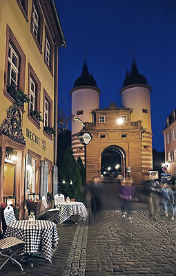 燃油氣鍋爐系列